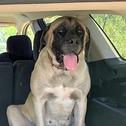 Photo of Big