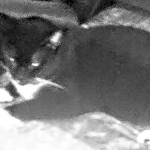 Photo of BlackieBoy
