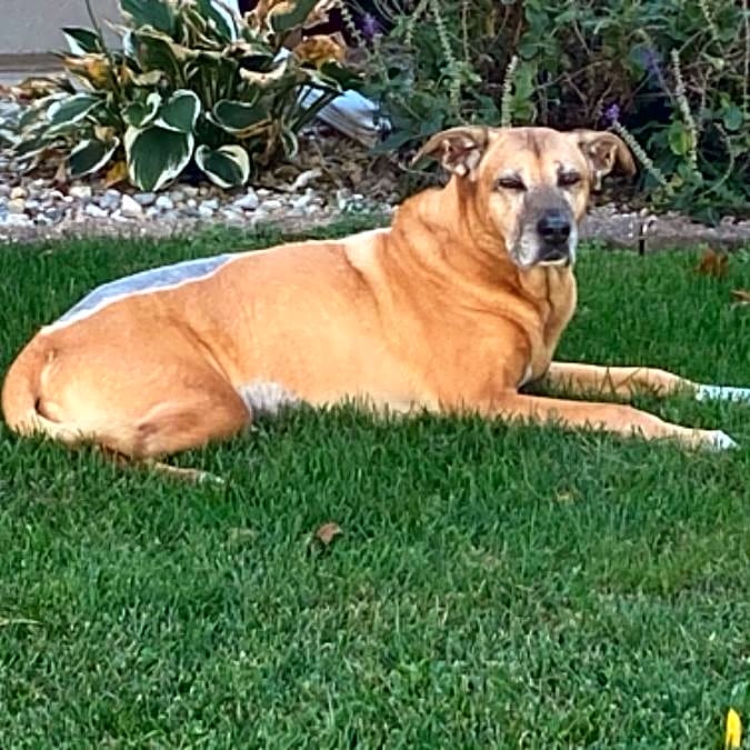Photo of Bella