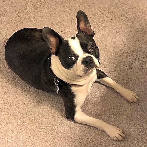 Photo of Leeloo