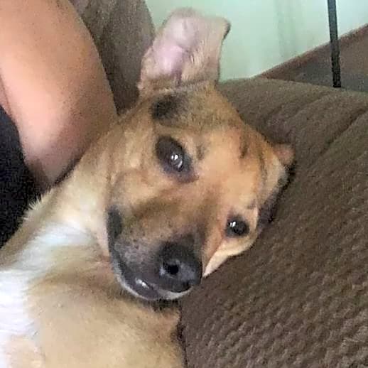 Photo of Eddy