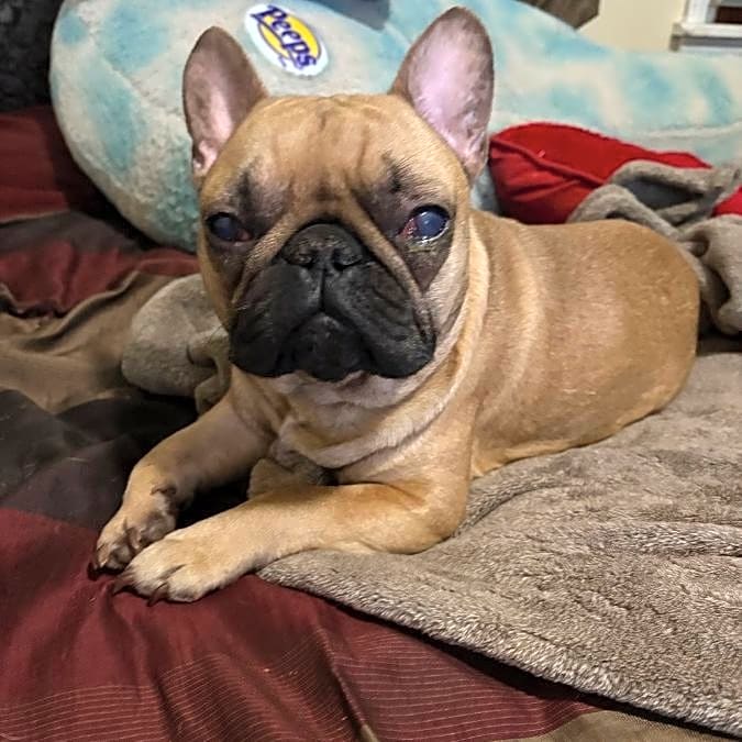 Photo of Lil’ Sude