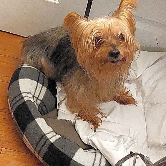 Photo of Brady
