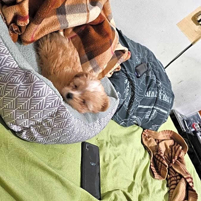 Photo of Gigi