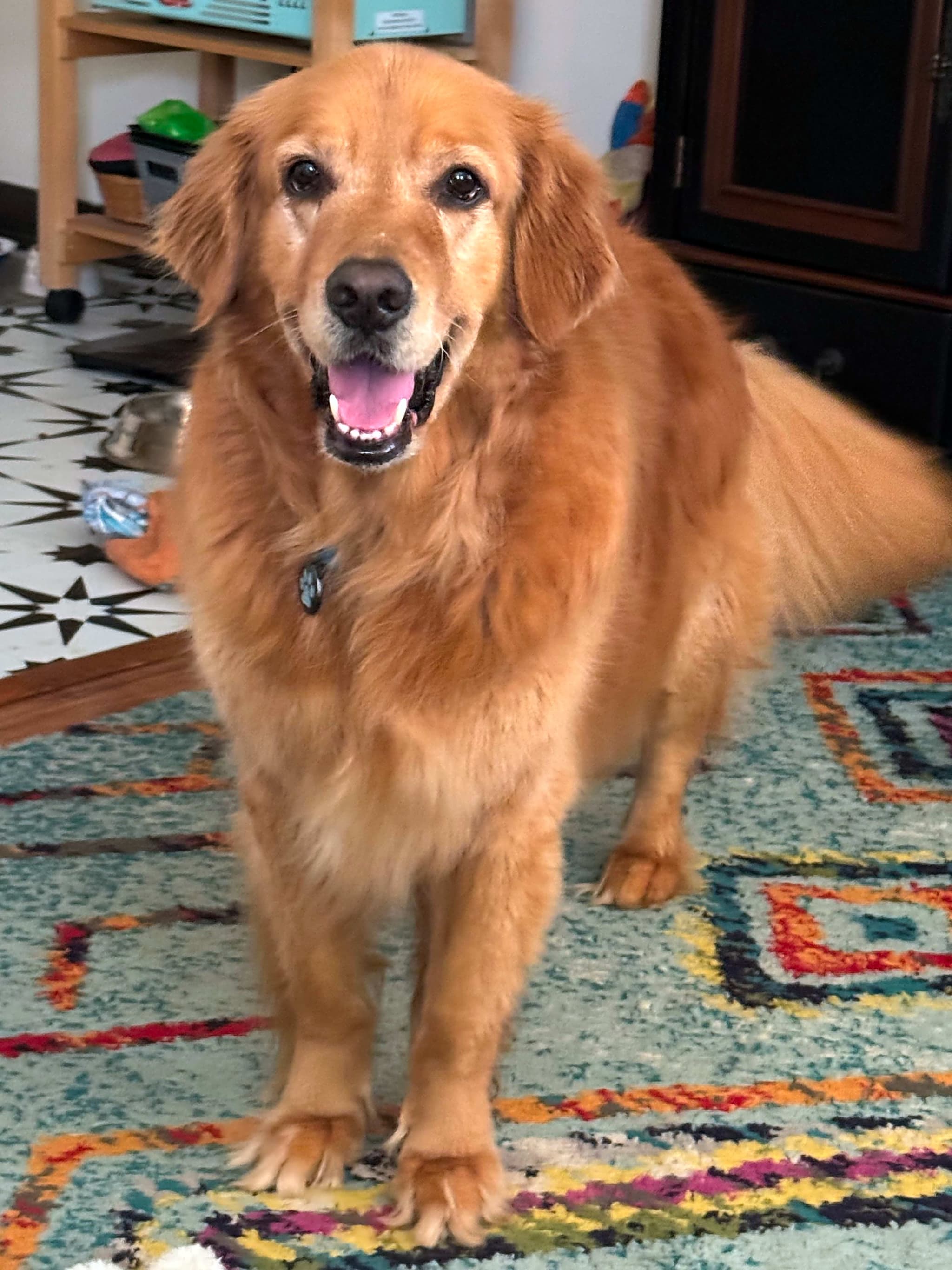 Photo of Charlie