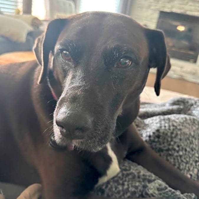 Photo of Sadie