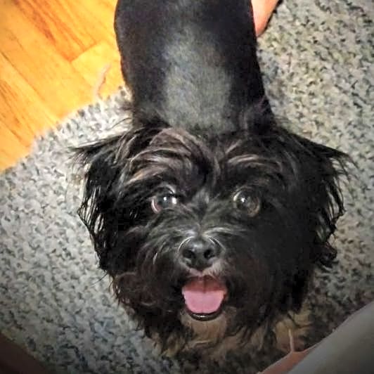 Photo of Munchie