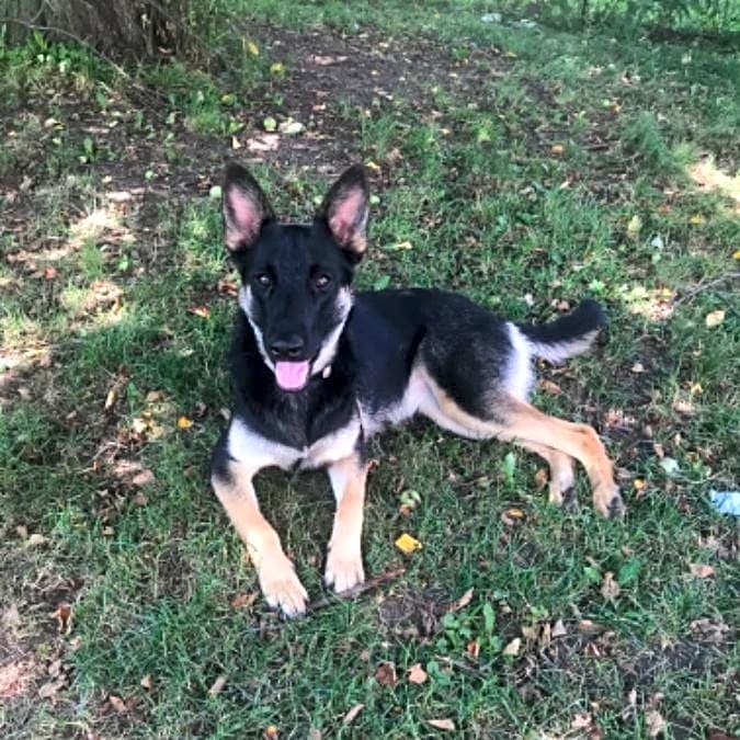 Photo of Sawyer
