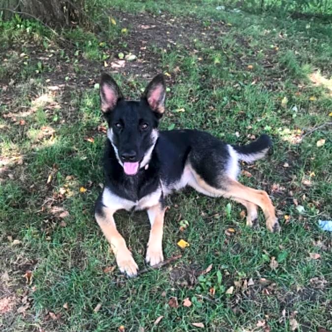 Photo of Sawyer
