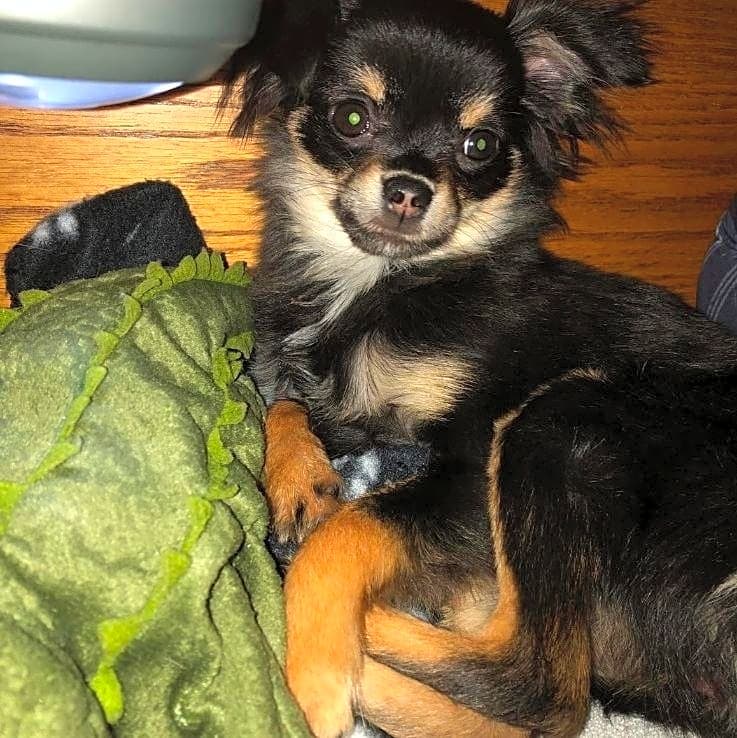 Photo of Arya