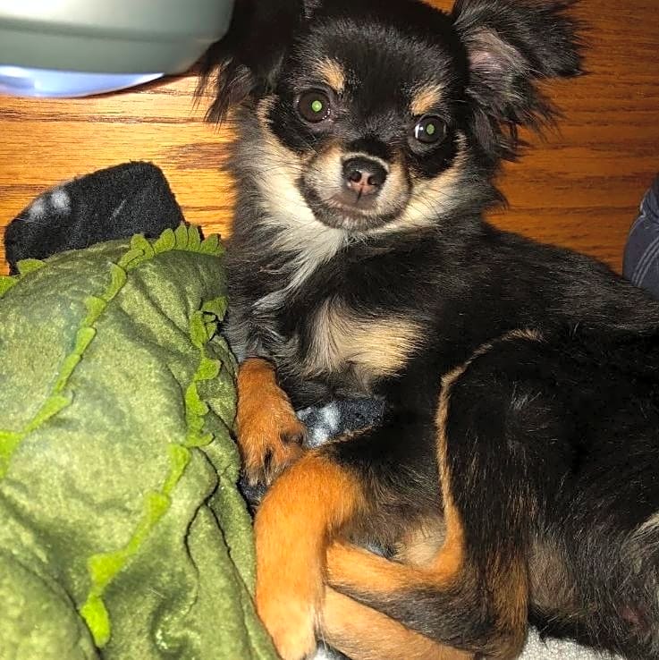 Photo of Arya
