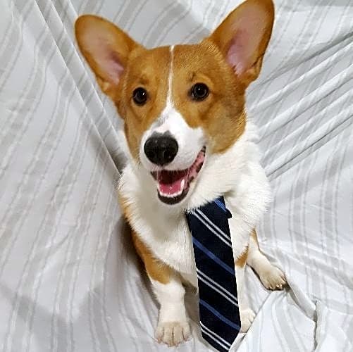 Photo of Kenji