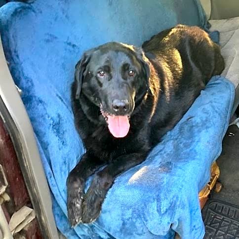Photo of Molly
