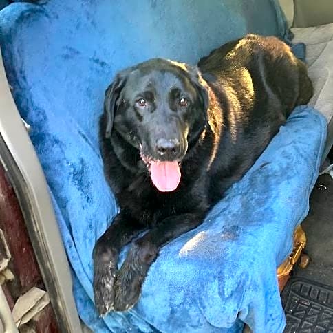 Photo of Molly