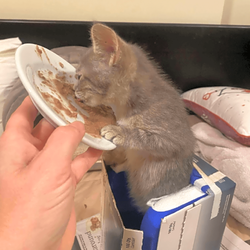 Photo of Miss Grey
