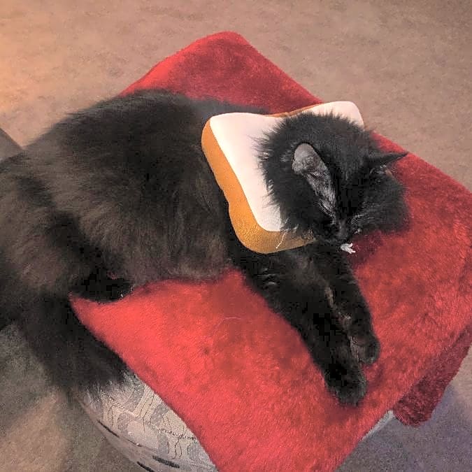 Photo of Kiki