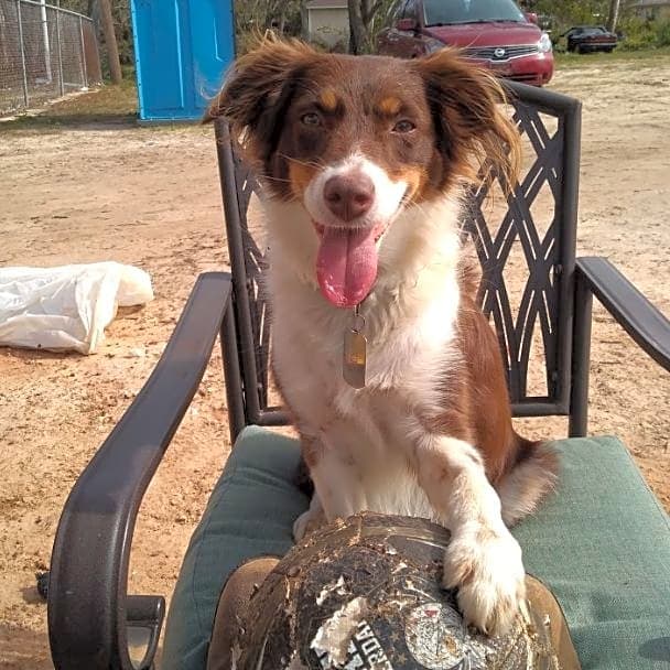 Photo of Mayble
