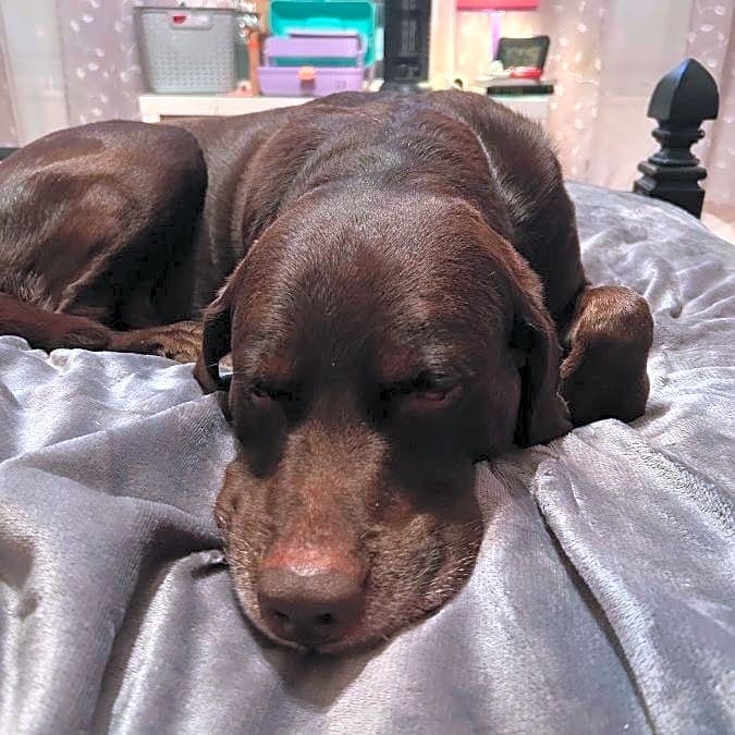 Photo of Hunter