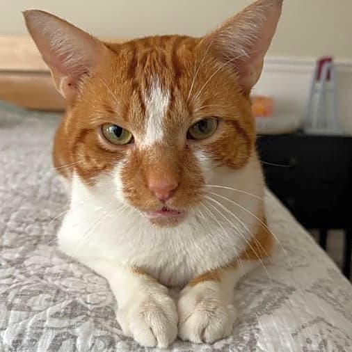 Photo of Sunny