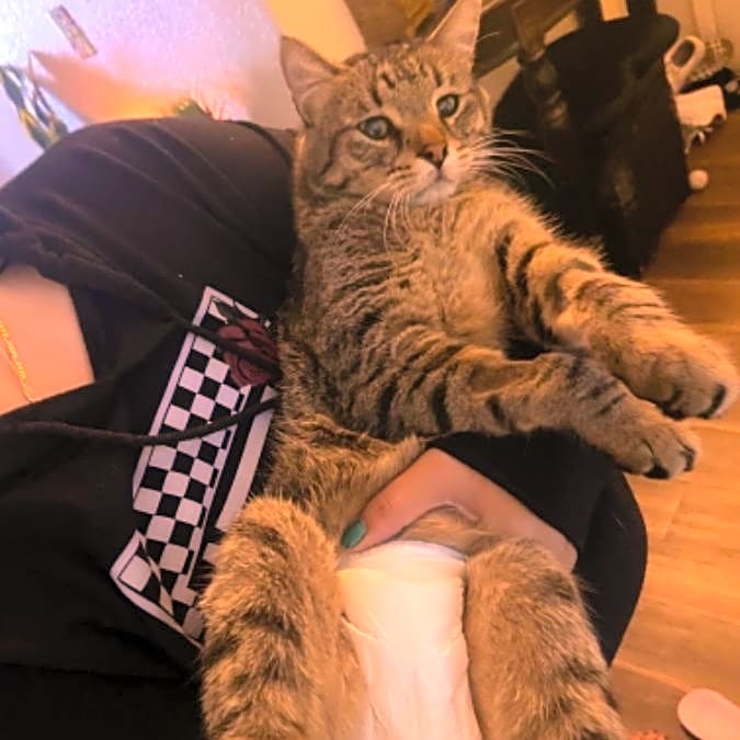 Photo of Keanu