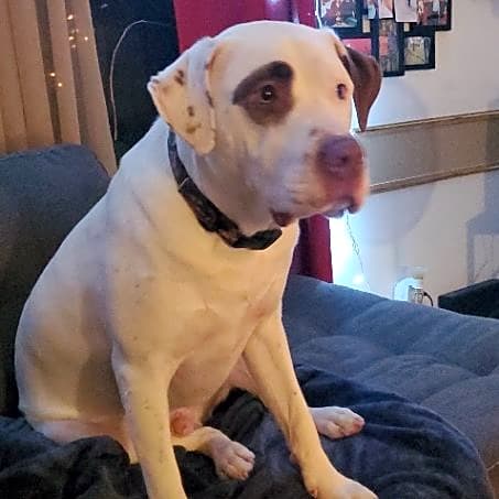 Photo of Mack