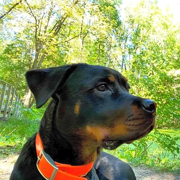 Photo of Lilith