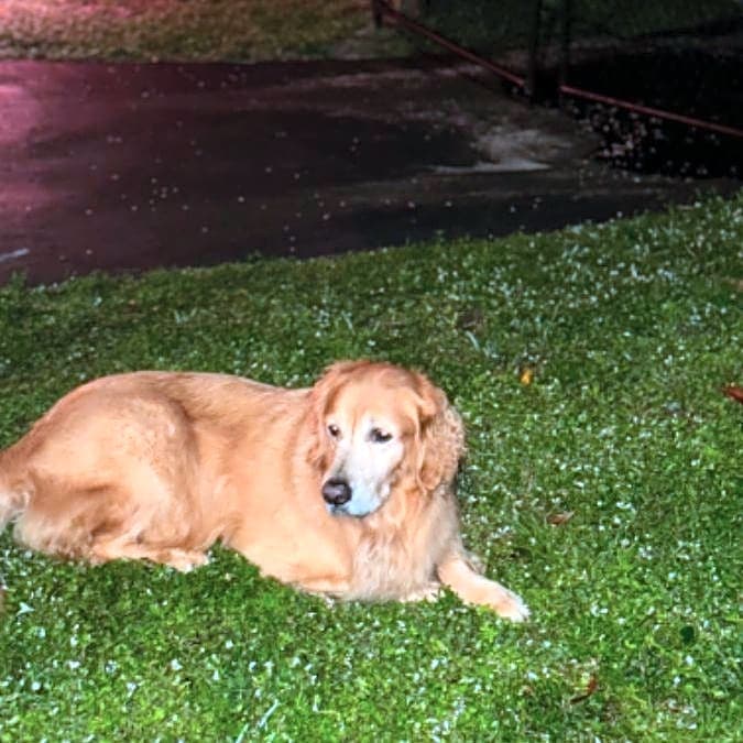 Photo of Max