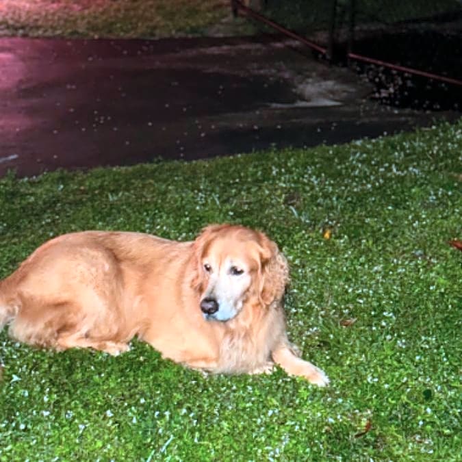 Photo of Max