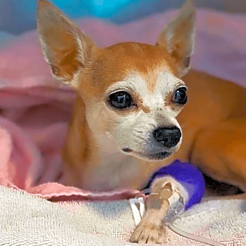 Photo of Bentley