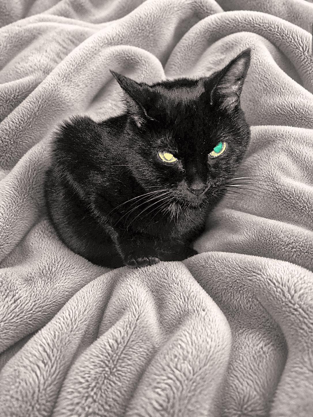Photo of Elizabeth