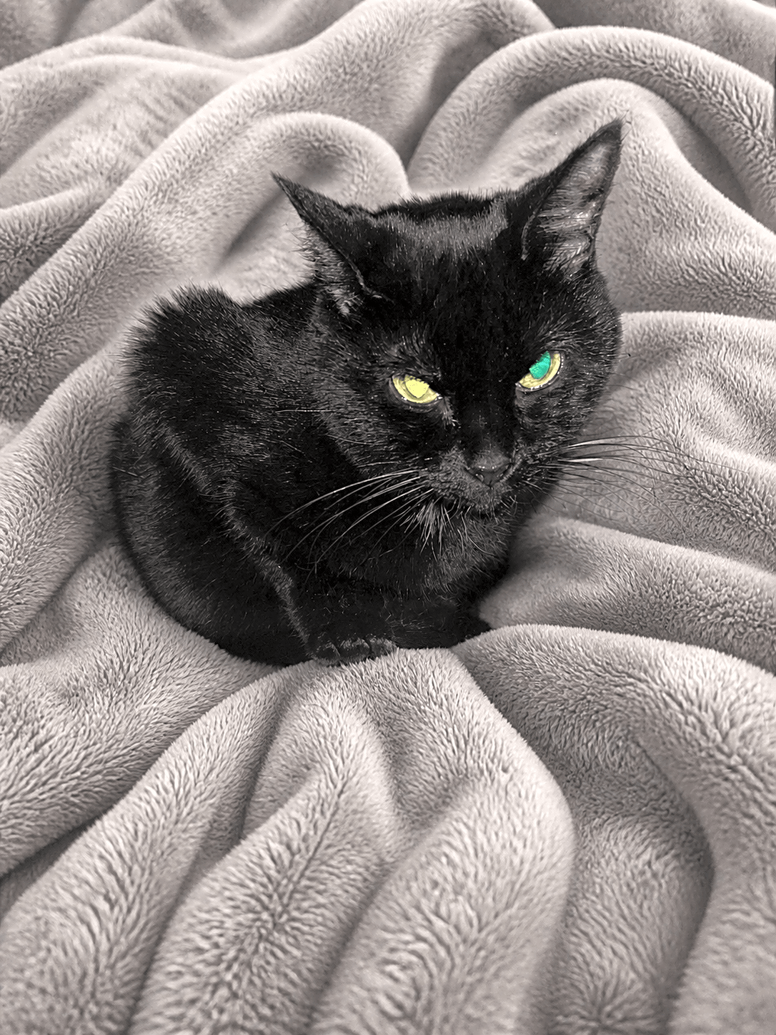 Photo of Elizabeth