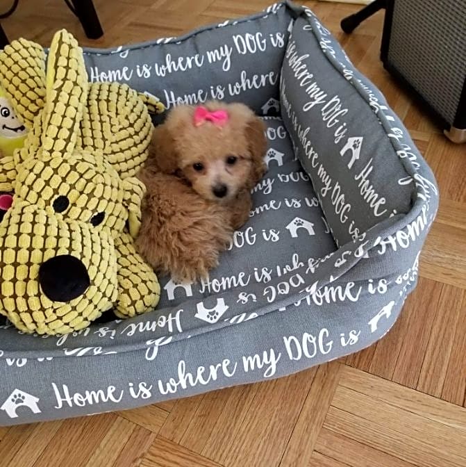 Photo of Sasha