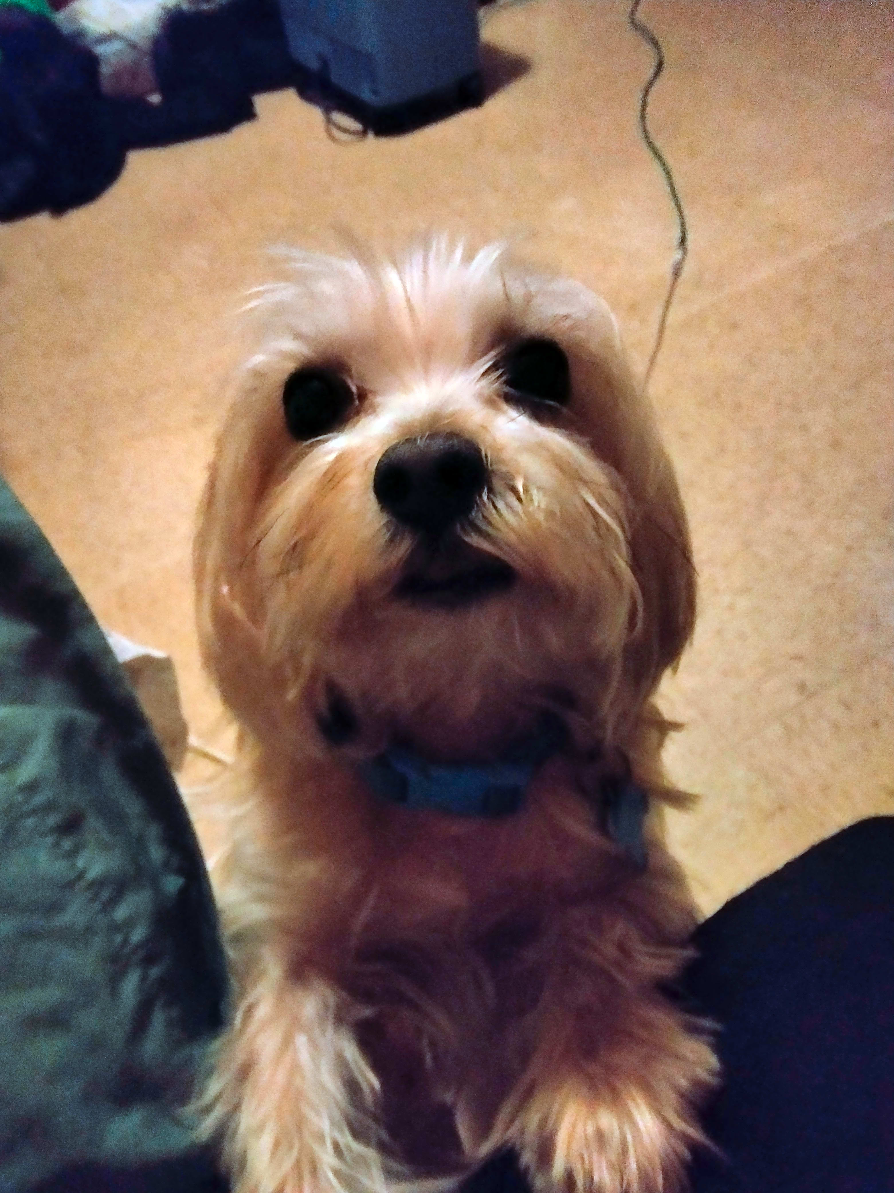 Photo of Kato