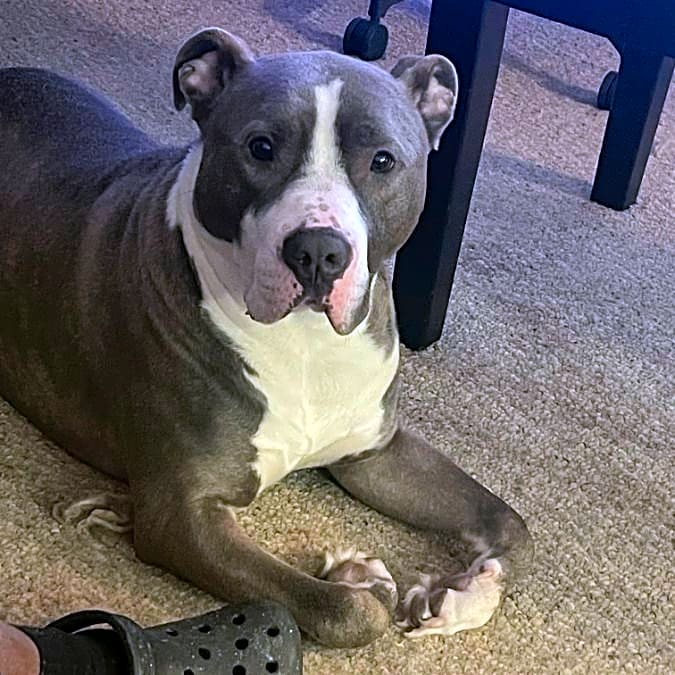Photo of Zeus