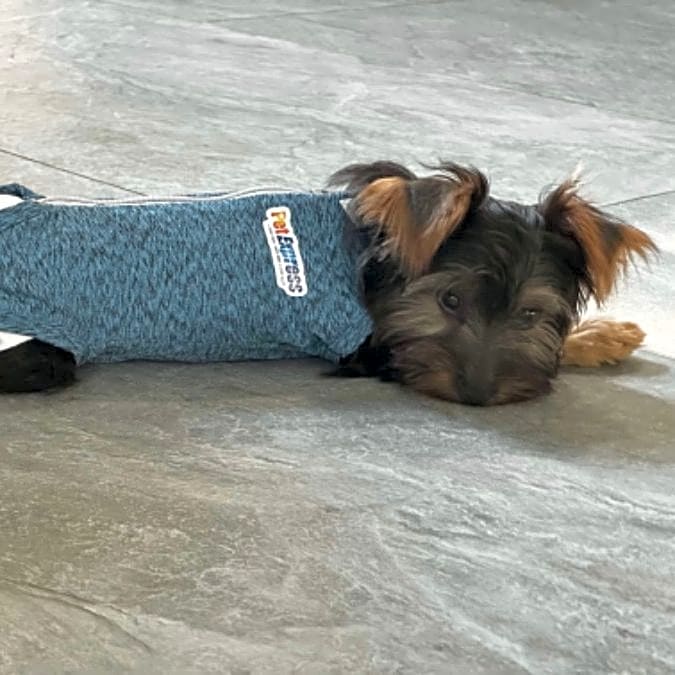 Photo of Remie