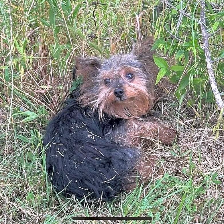 Photo of Max