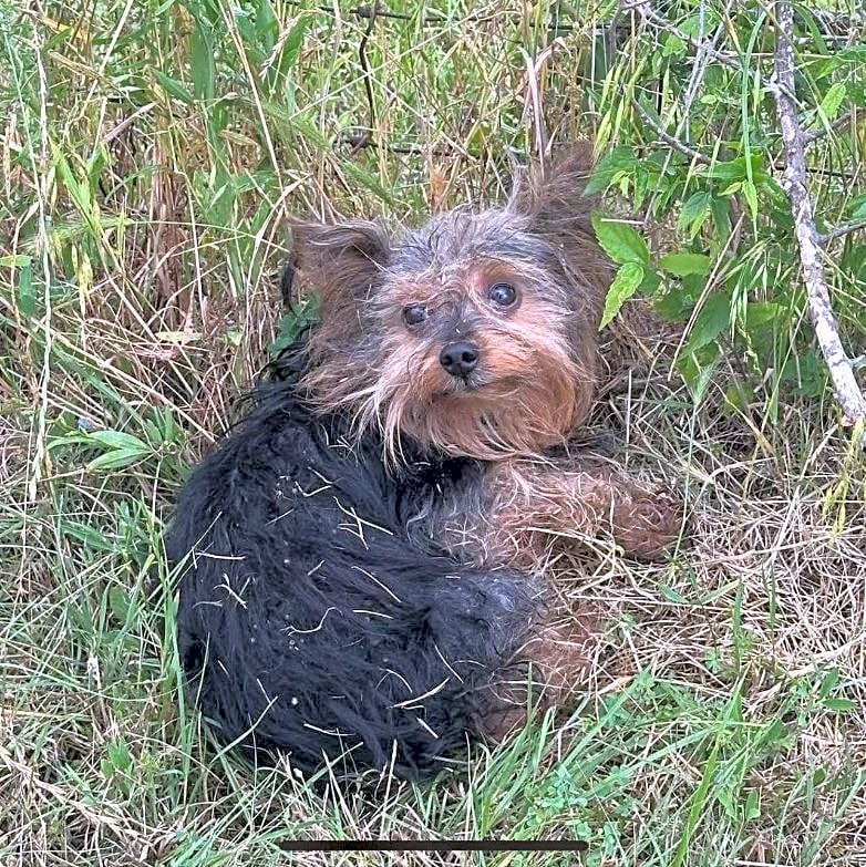Photo of Max