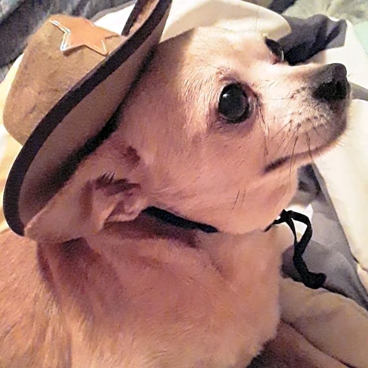Photo of LIL BIT