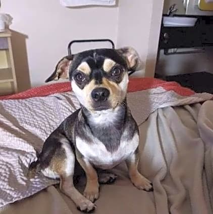 Photo of Titan