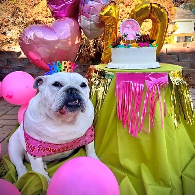 Photo of Farley