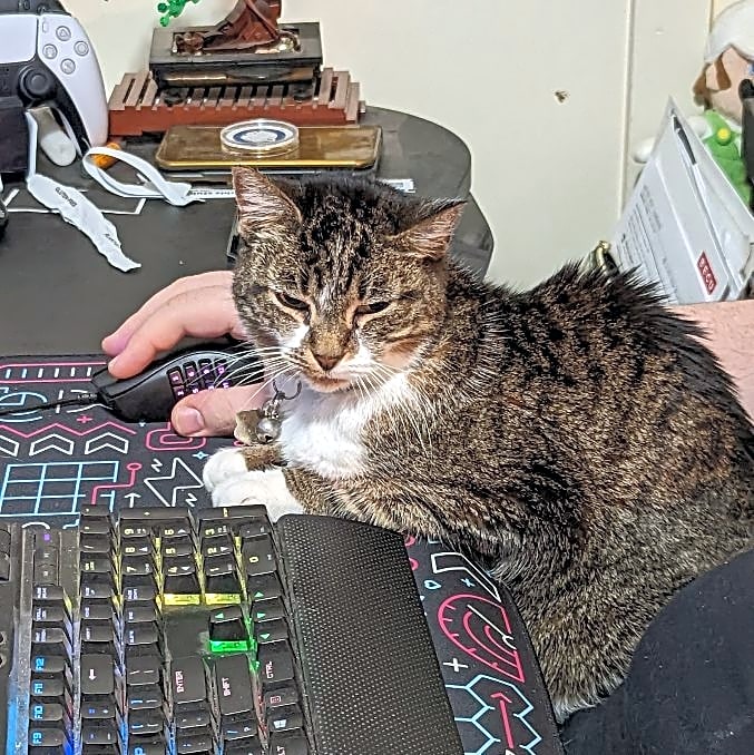 Photo of Lily Nymphadora Tonks