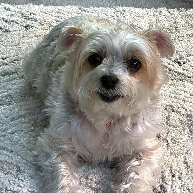 Photo of Mindy
