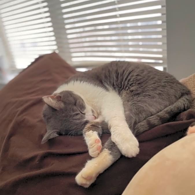 Photo of Beanie