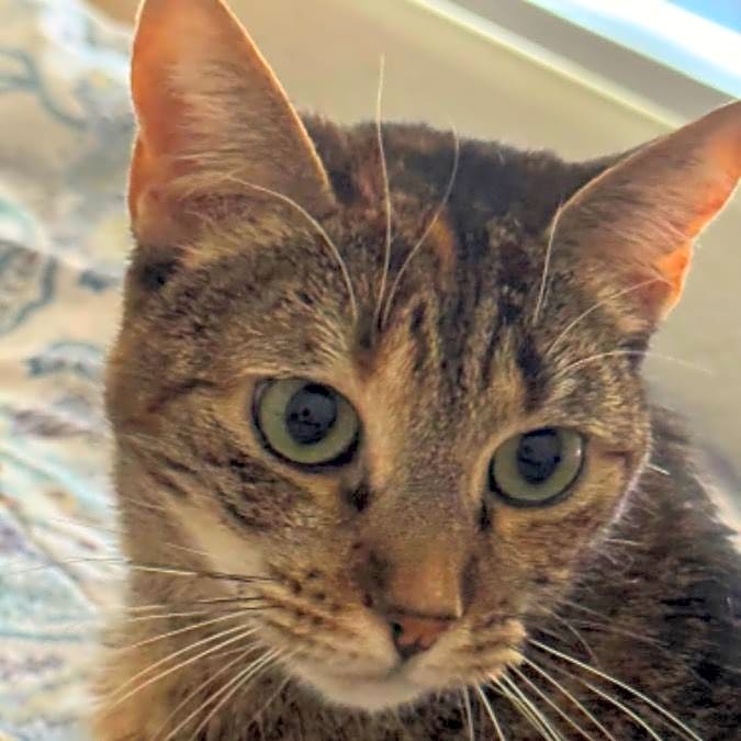 Photo of Zoe