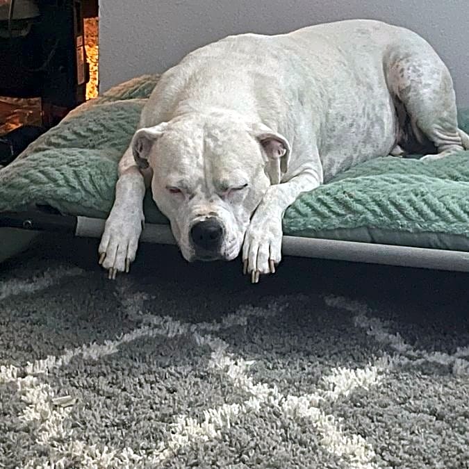 Photo of Molli