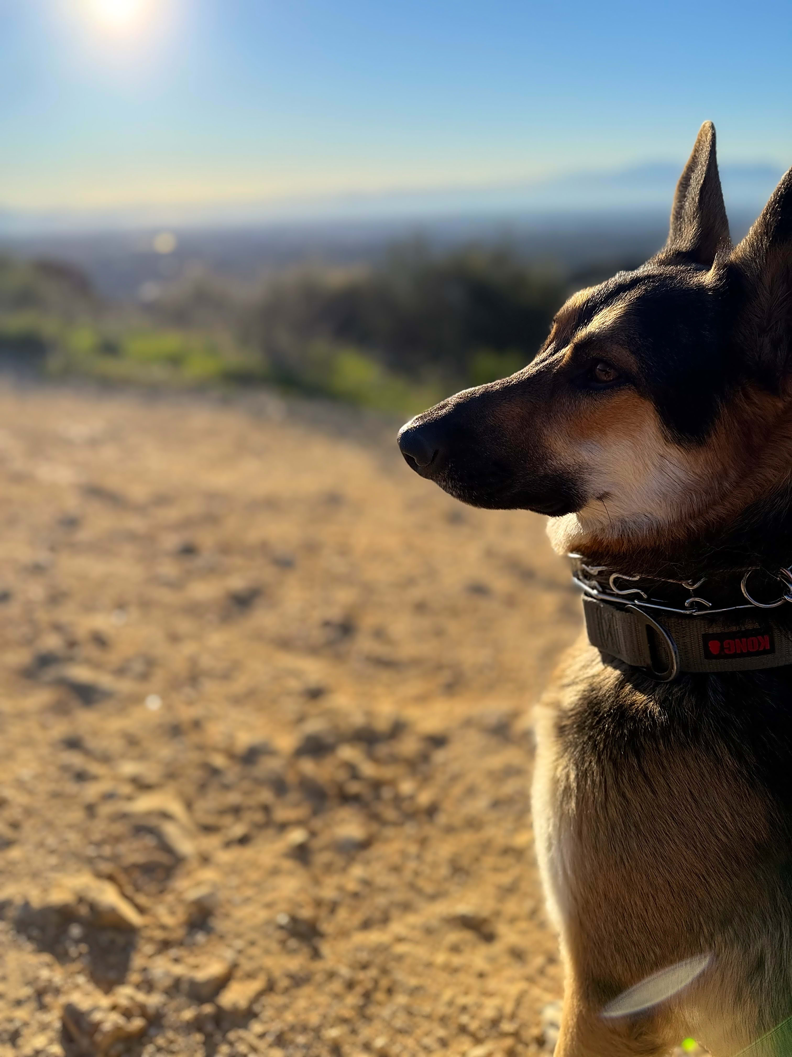 Photo of Bruce