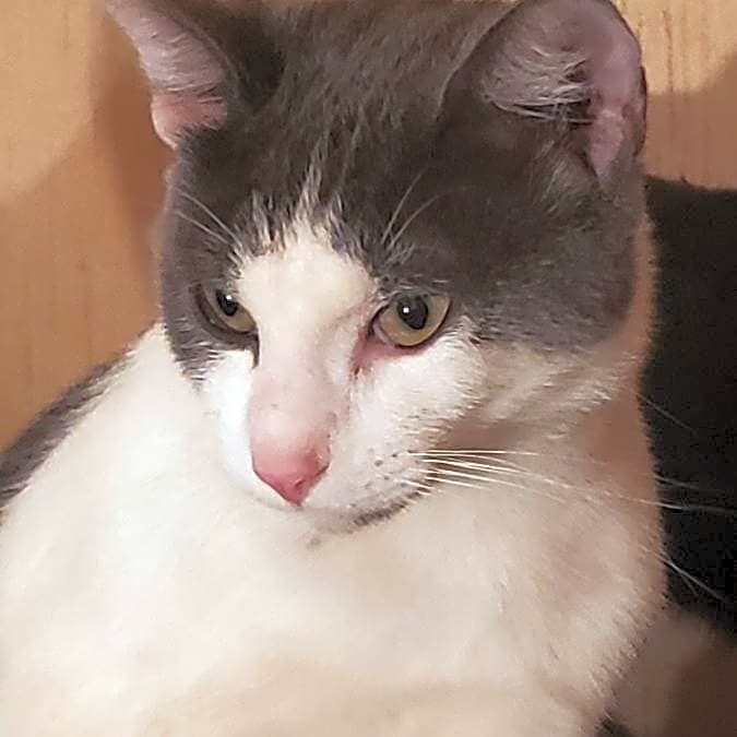 Photo of Mama