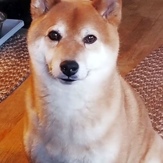 Photo of Sobuku