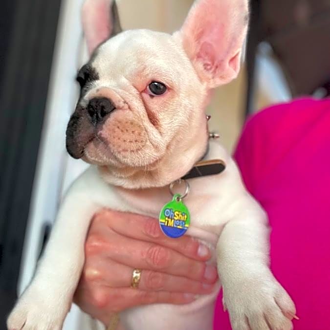Photo of Spike
