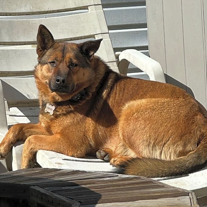 Photo of Daisy